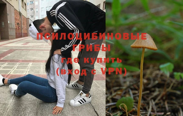MDMA Premium VHQ Аркадак