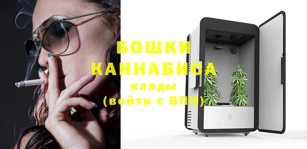 стаф Баксан