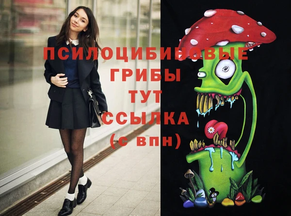 стаф Баксан
