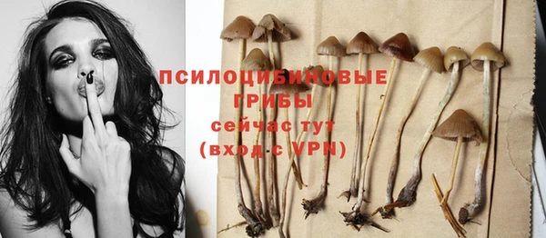 стаф Баксан