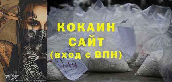 стафф Арсеньев